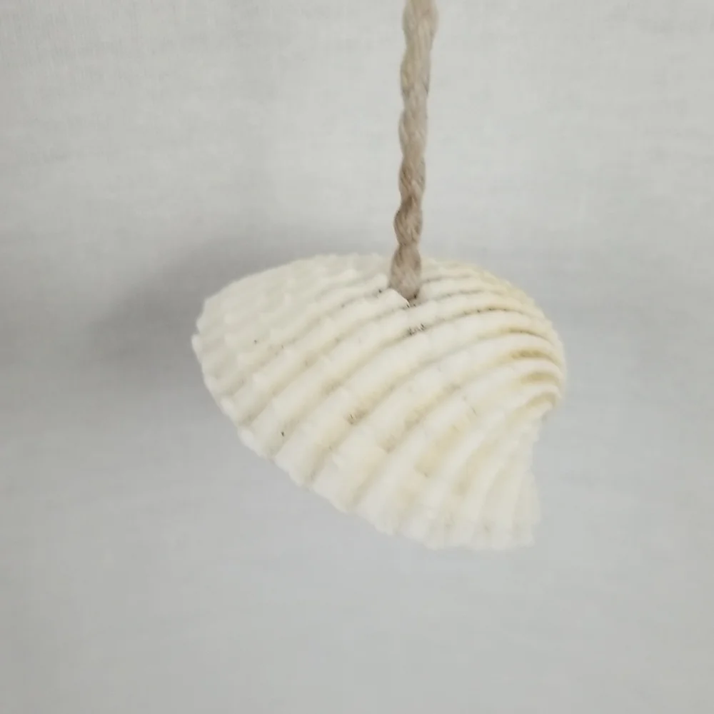 Neutral Shell and Driftwood Hanging Wall Decor